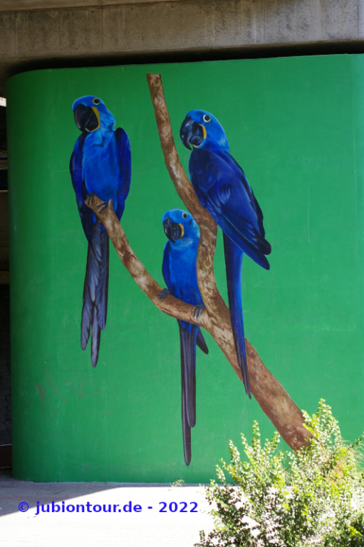 Vergrößern IMGP4059.JPG