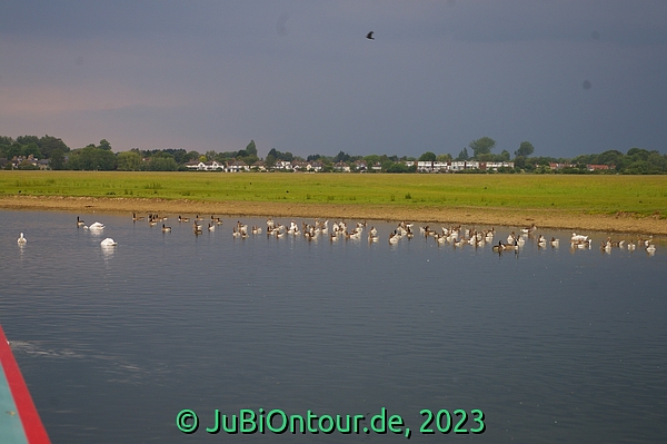 Vergrößern 20230612_IMGP4444.jpg
