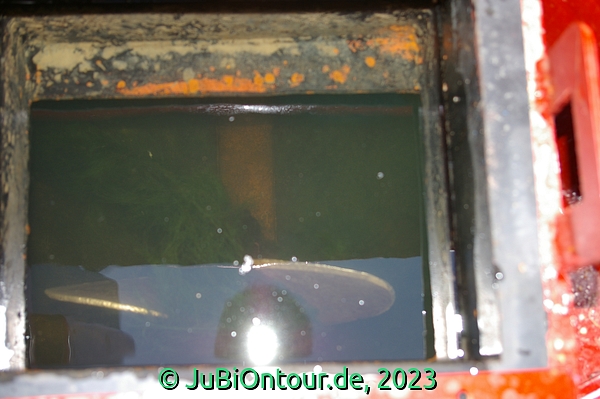 Vergrößern 20230613_IMGP4451.jpg