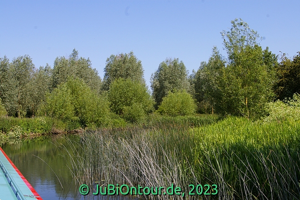 Vergrößern 20230614_IMGP4453.jpg