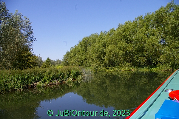 Vergrößern 20230614_IMGP4454.jpg