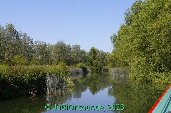 Vergrößern 20230614_IMGP4455.jpg