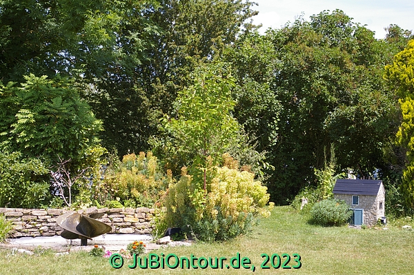 Vergrößern 20230615_IMGP4491.jpg