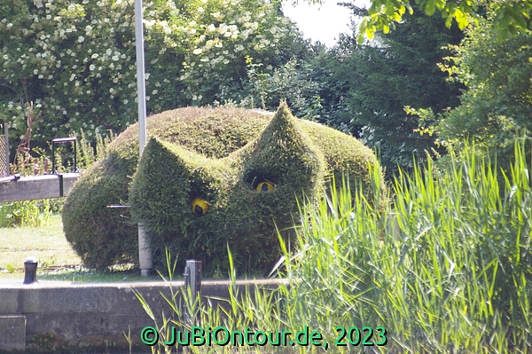 Vergrößern 20230616_IMGP4494.jpg