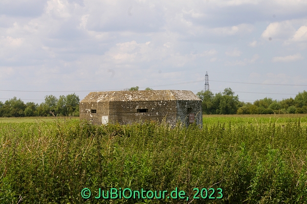 Vergrößern 20230616_IMGP4497.jpg