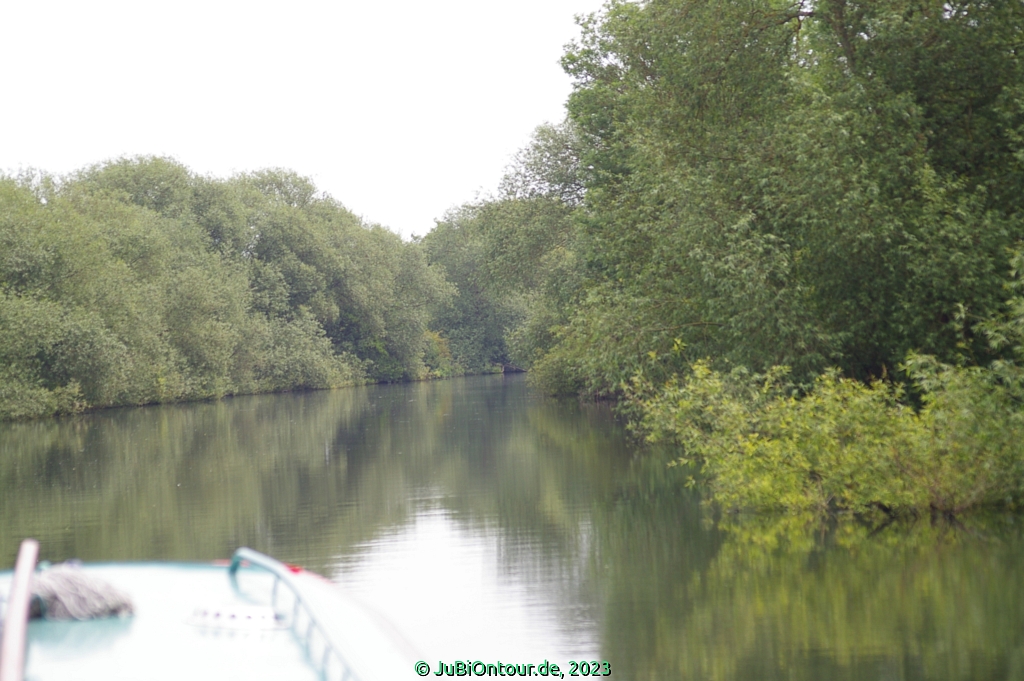 Vergrößern 20230618_IMGP4536.jpg