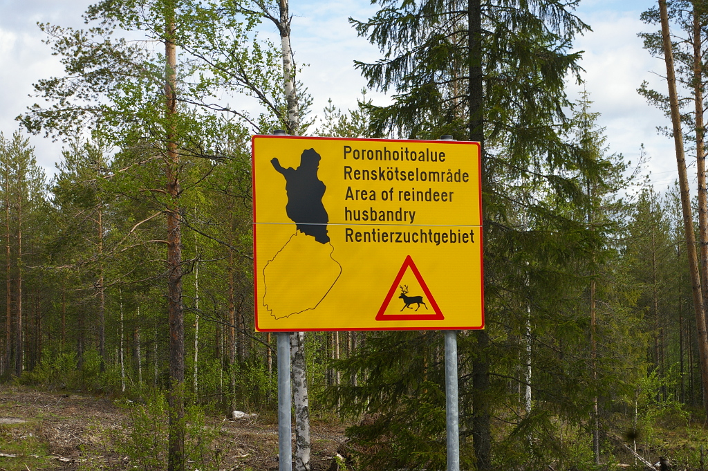 Vergrößern 20190602_IMGP2023.JPG