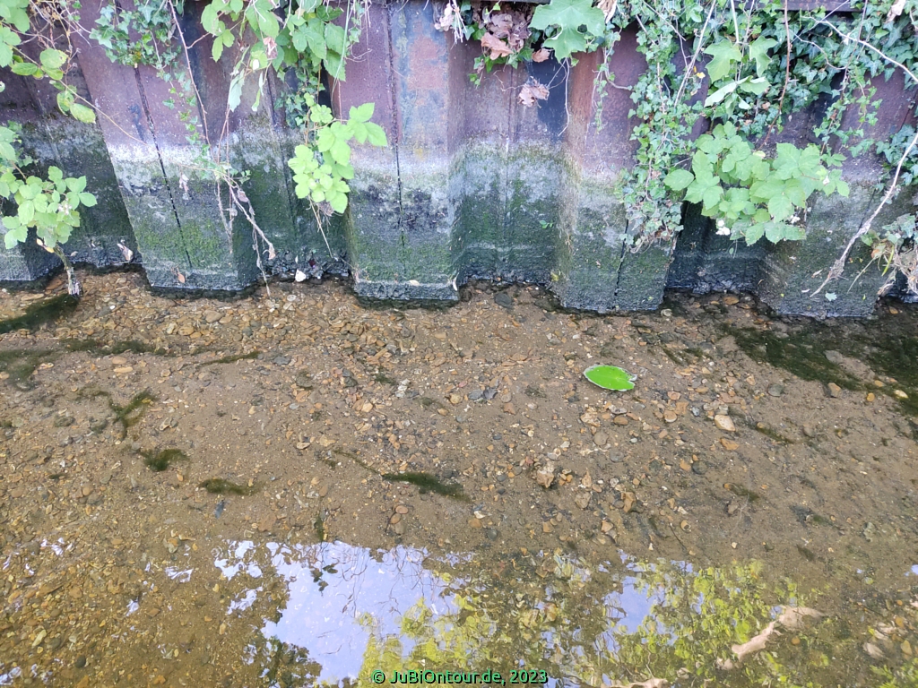 Vergrößern 20230614_IMG_20230626_074200.jpg