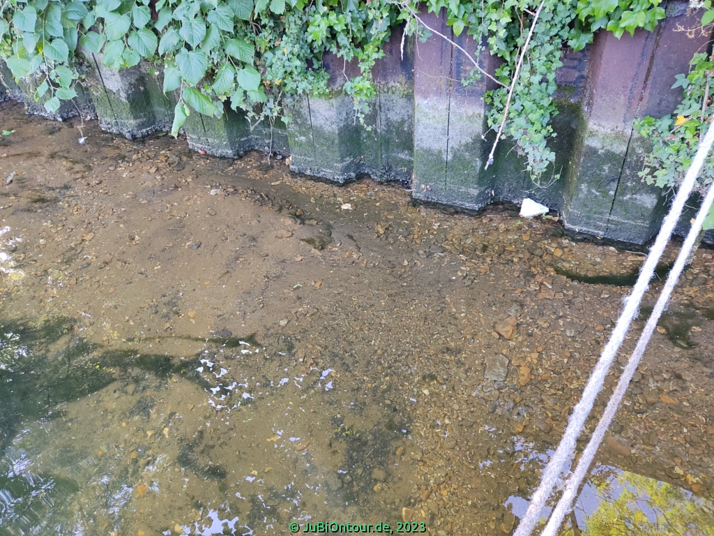 Vergrößern 20230614_IMG_20230626_074149.jpg