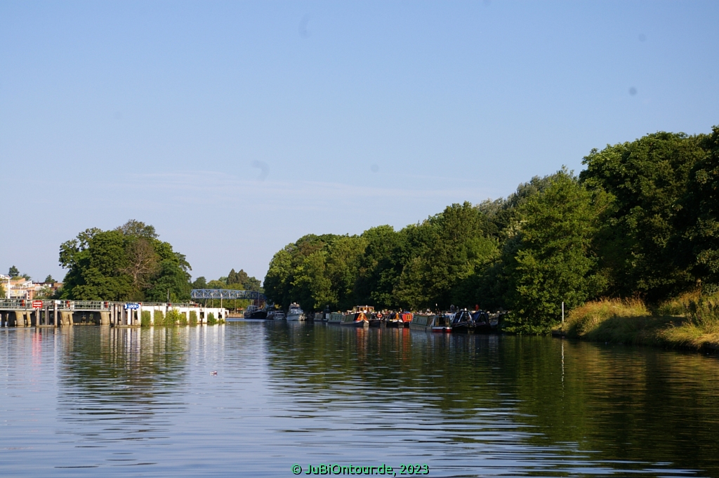 Vergrößern 20230625_IMGP4642.jpg