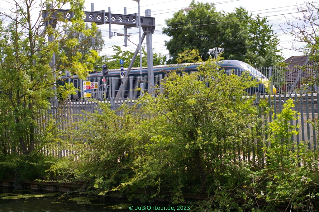 Vergrößern 20230626_IMGP4676.jpg