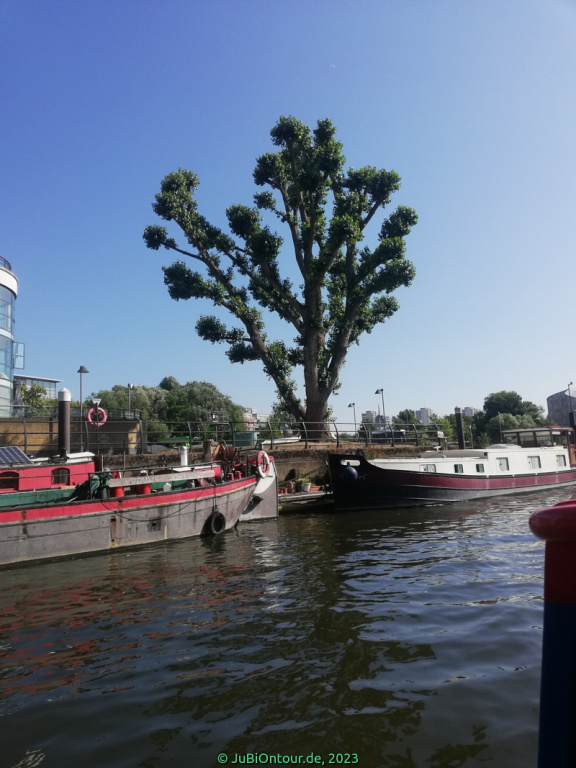 Vergrößern 20230625_092137.jpg