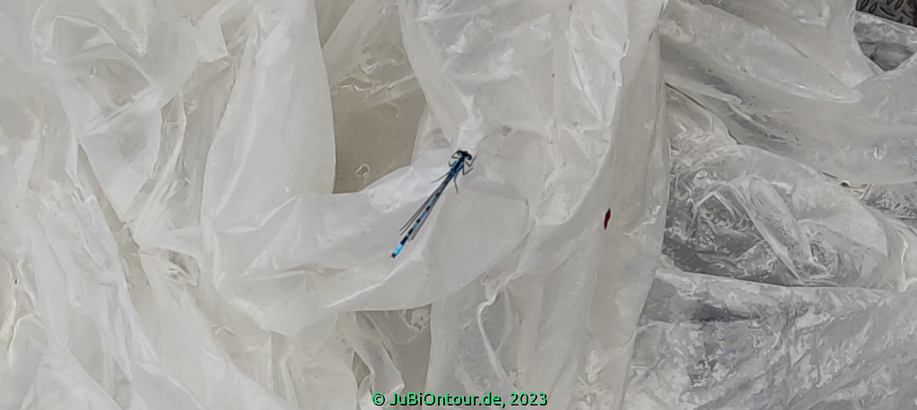 Vergrößern 20230628_132423_2.png