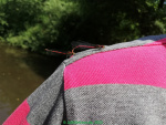 IMG_20250617_121336.jpg