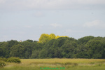 IMGP5755.jpg