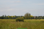 IMGP5756.jpg