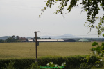IMGP5786.jpg
