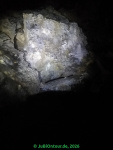 20260426_11.jpg