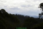 IMGP5889.jpg