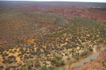 IMGP6140.jpg