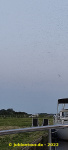 20220608_07.jpg