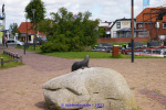 20220608_13.jpg