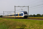 IMGP4032.JPG