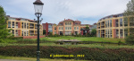 IMG_20220626_105319.jpg